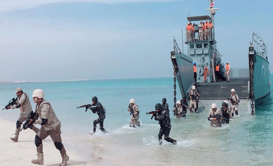 2018/02/pak-saudi-navy-102445645_3037709898.gif