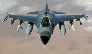 2018/08/300px-F-16_Fighting_Falcon_1533753650.jpg