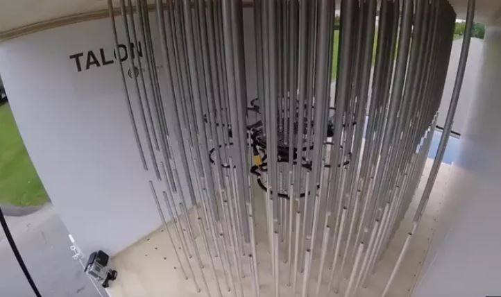 2018/09/40595128_219897472213611_4369559947239751680_n_1535823711.jpg