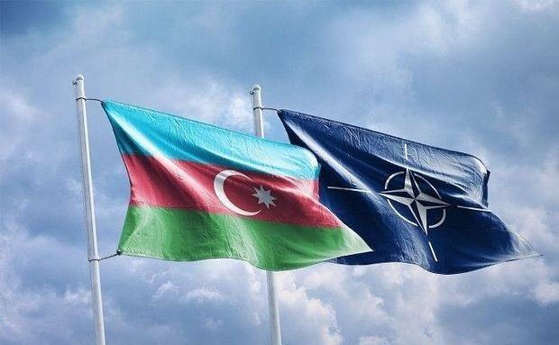 2019/03/nato--1551686045.jpg