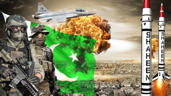 2019/08/Pakis-3130177794.jpg