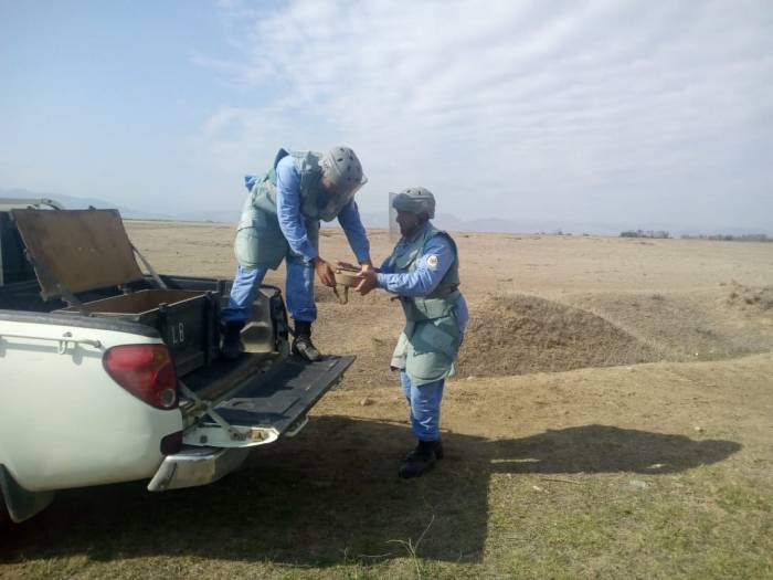 2019/10/mina1-1572524719.jpg
