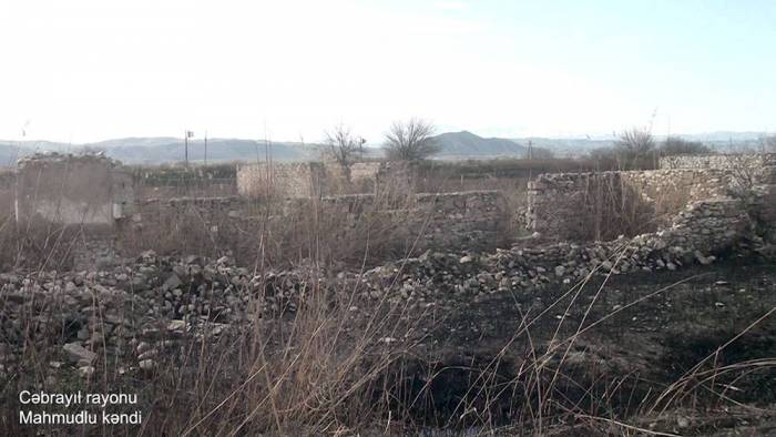 2021/03/mahmu-1616684248.jpg