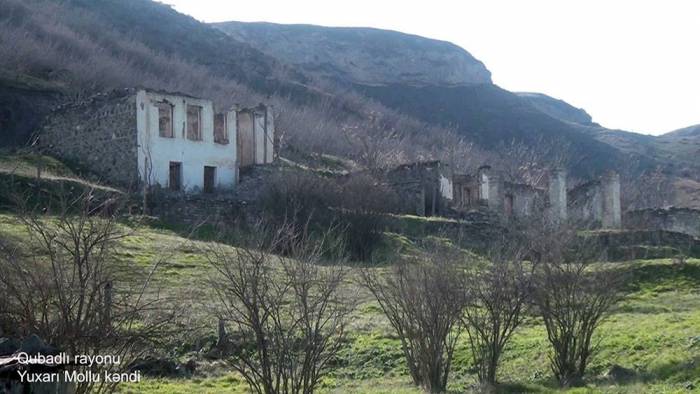 2021/03/mollu-1616570618.jpg