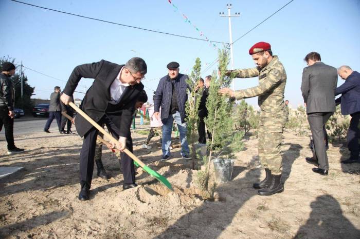 2021/11/turka-1636452306.jpg